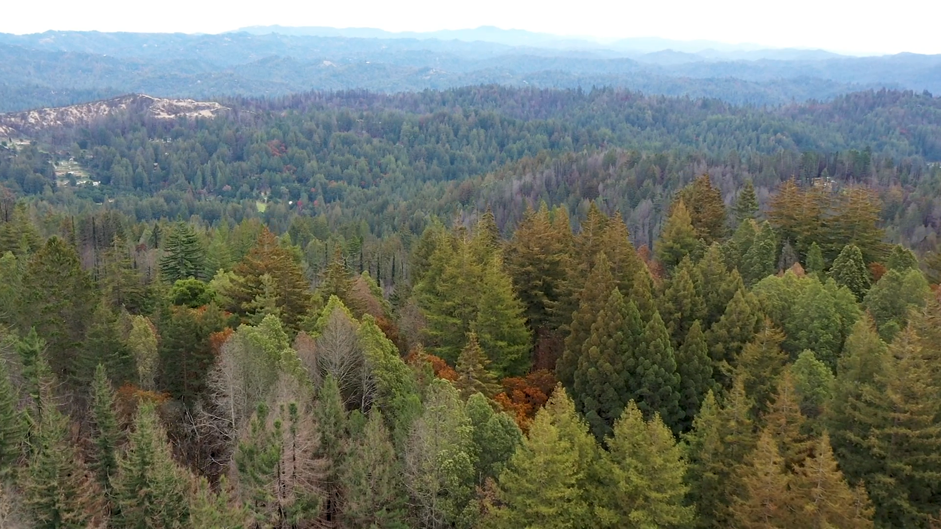 Gateway aerial shot of NoraBella Property